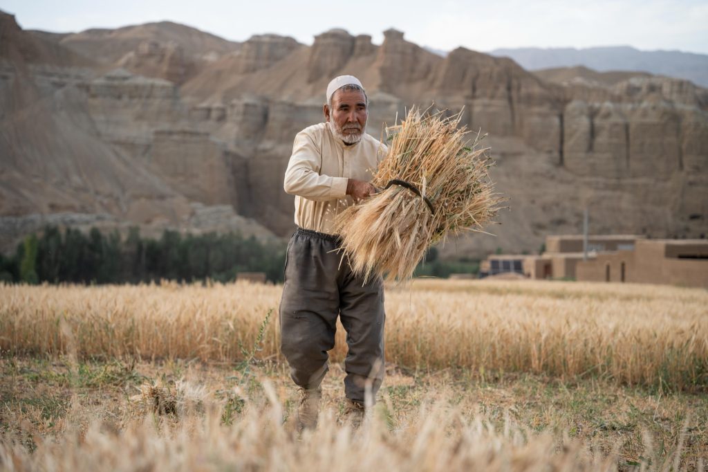 Golden-hour light over an eroded river valley, Bamyan, Afghanistan — photo by Shamshad Noori